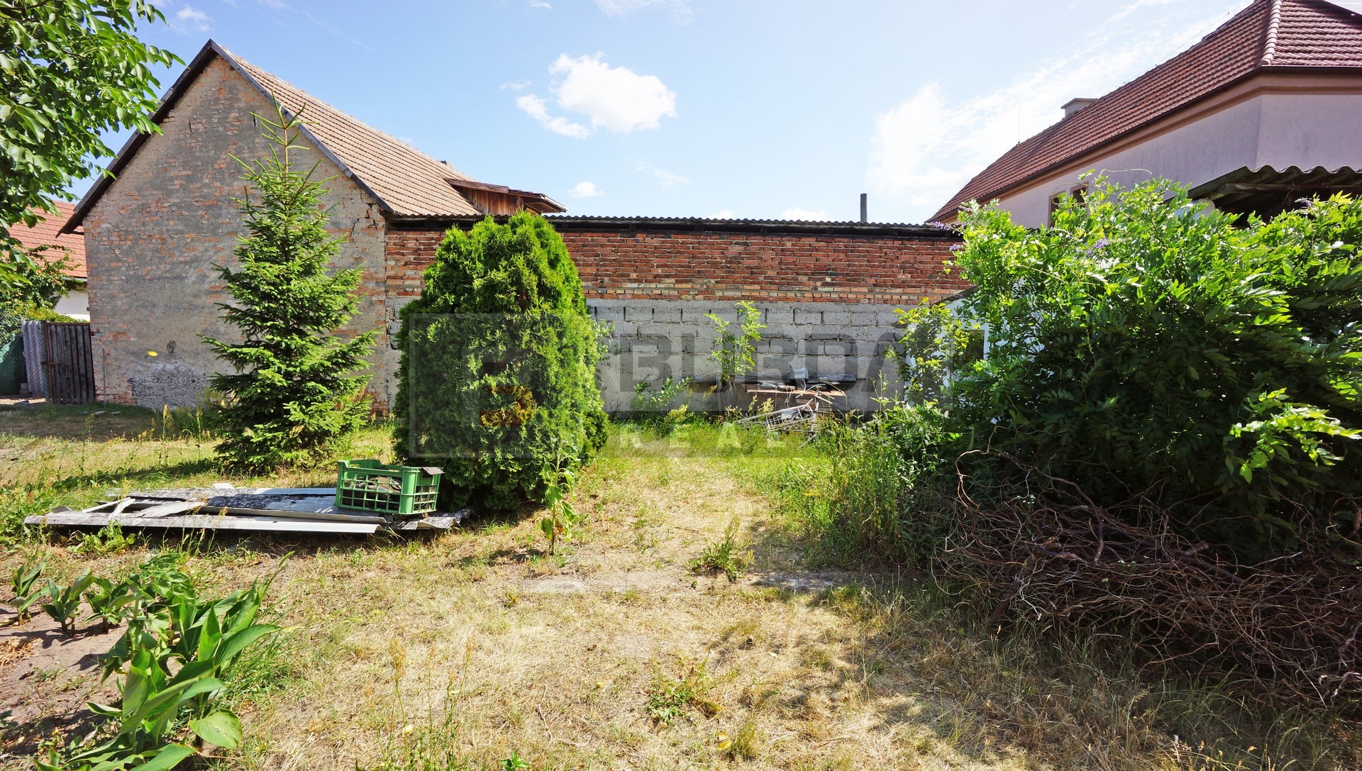 DSC07177