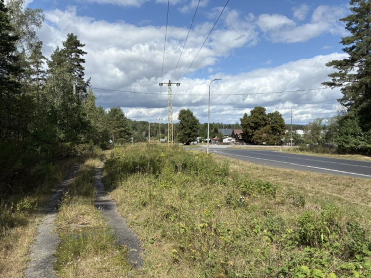 Srní