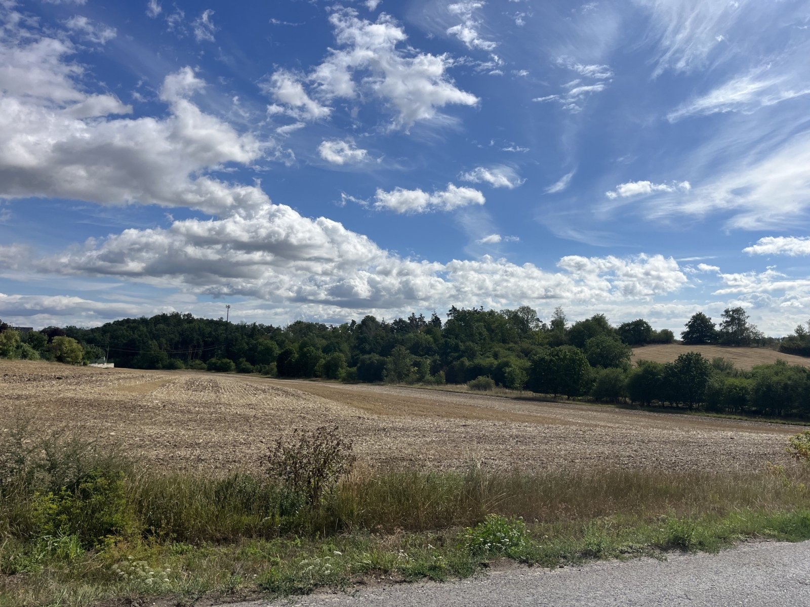 IMG_3185.jpeg