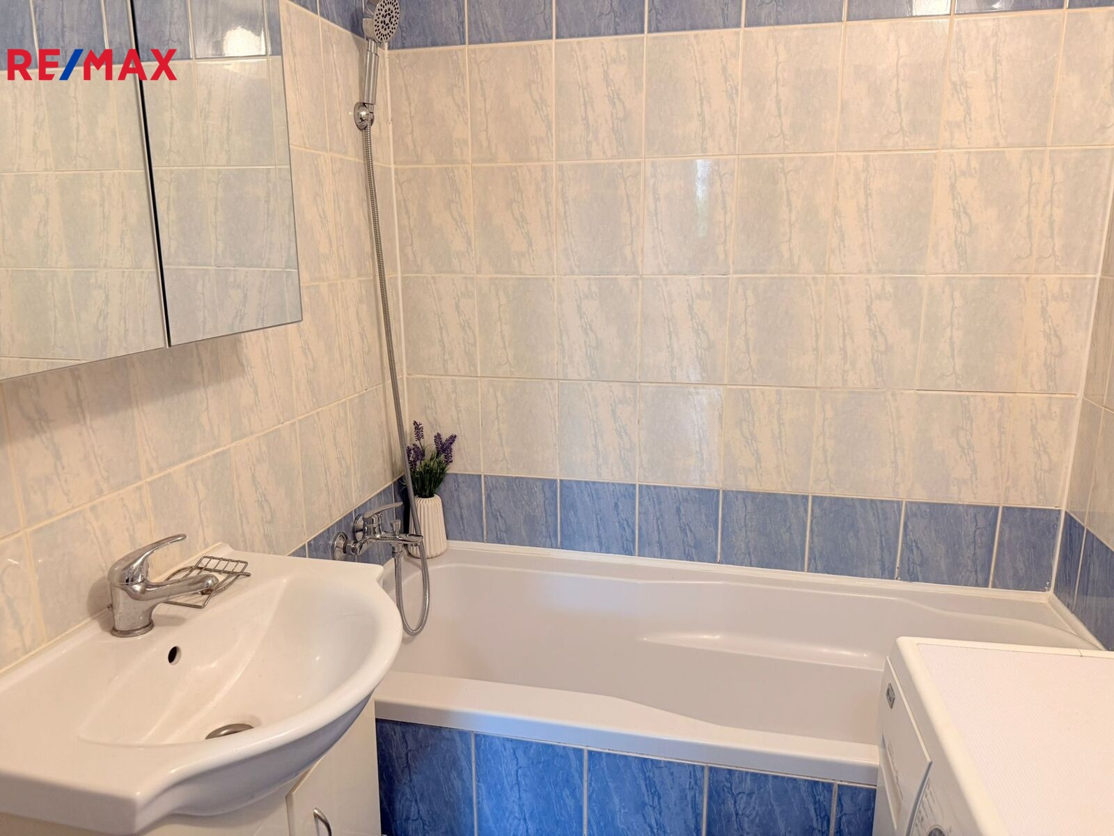 +420 604 191 744 I denisa.myslivcova@re-max.cz