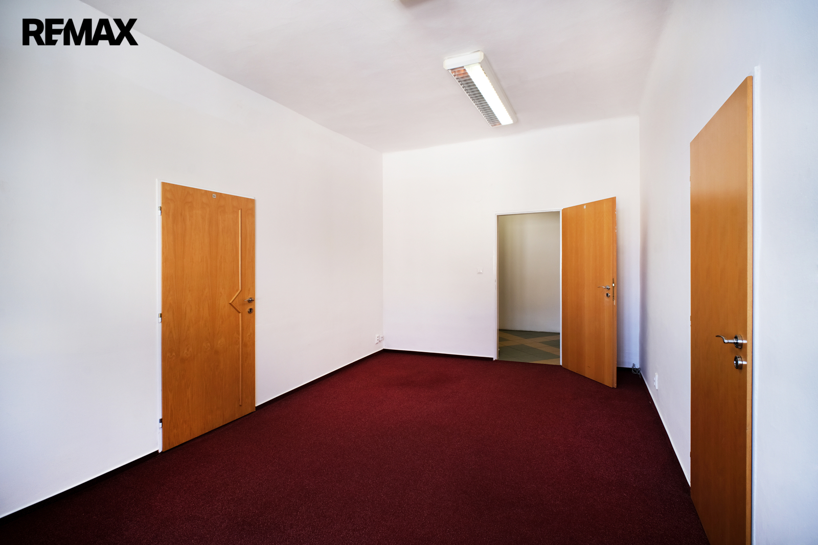 +420 604 191 744 I denisa.myslivcova@re-max.cz