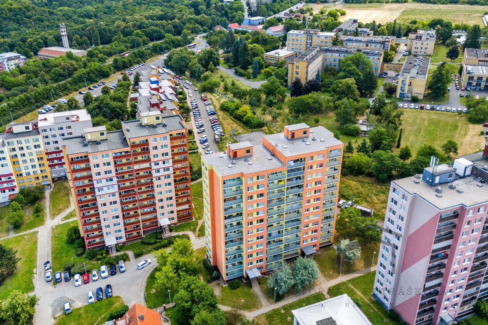 Za Dvorem (2).jpg