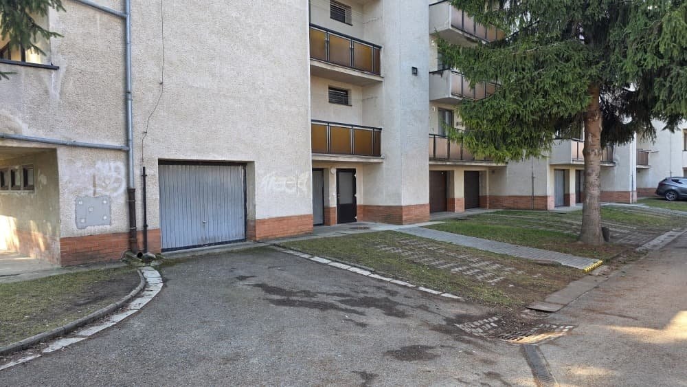 WhatsApp Image 2026-03-03 at 14.42.28