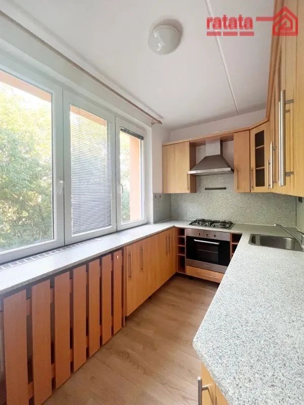 kuchyně s přirozené světlo, digestoř, dřevěná podl