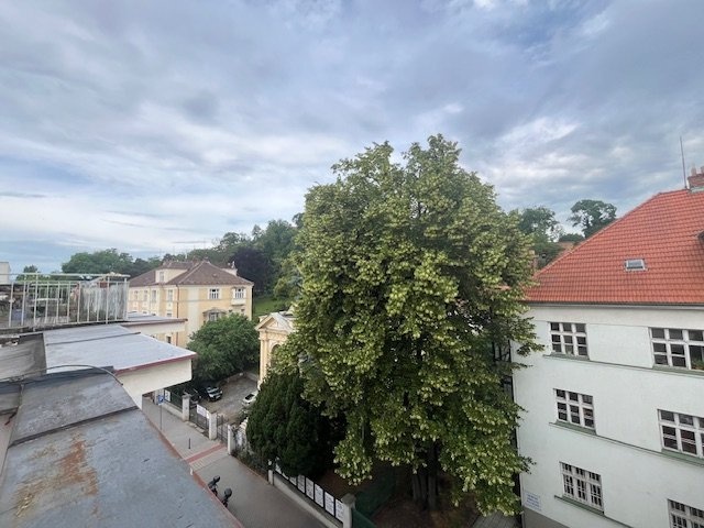 IMG_4460