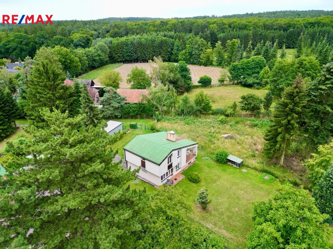 Rozlehlé lesy v okolí