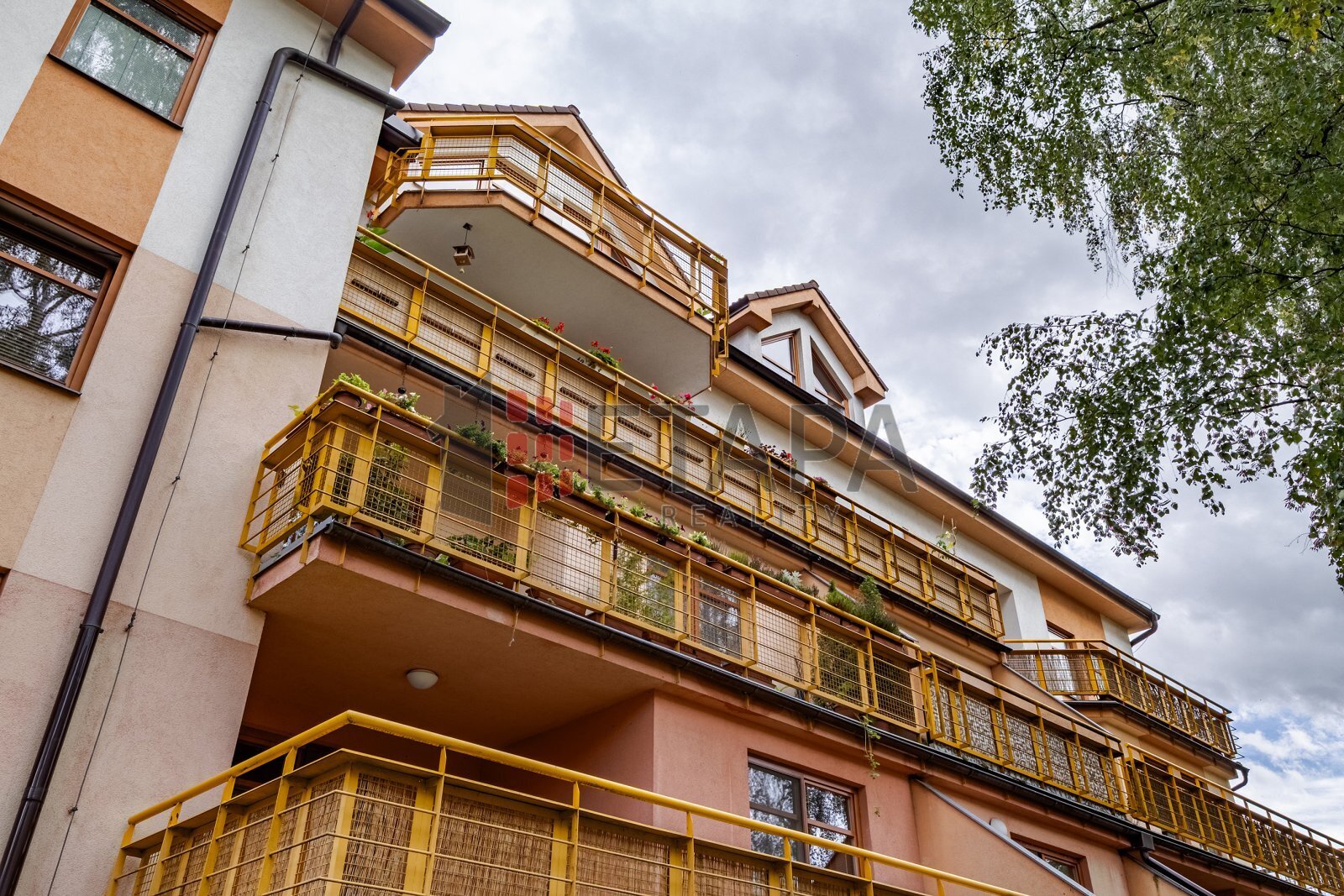 dům
