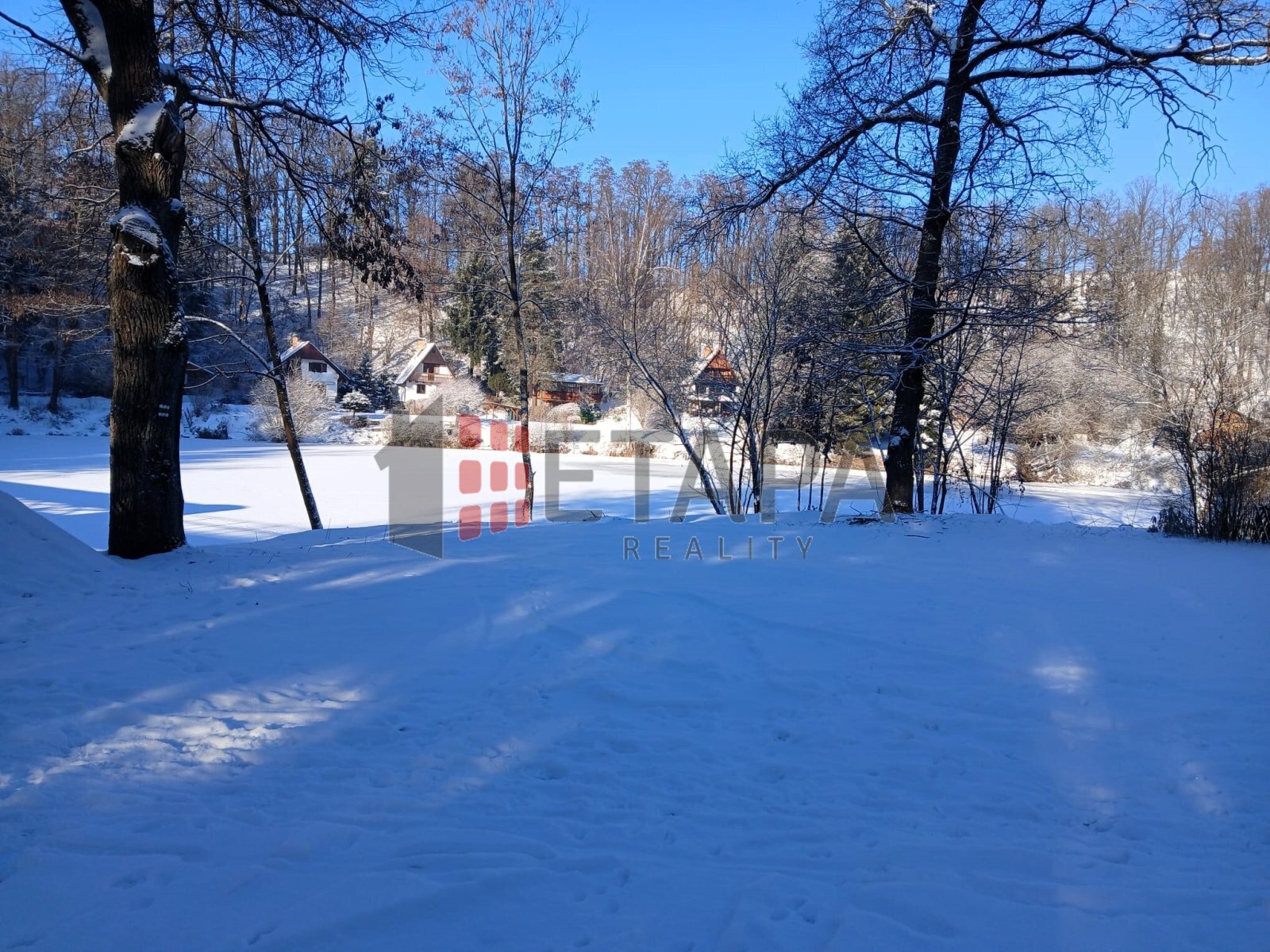 blízké okolí v zimě