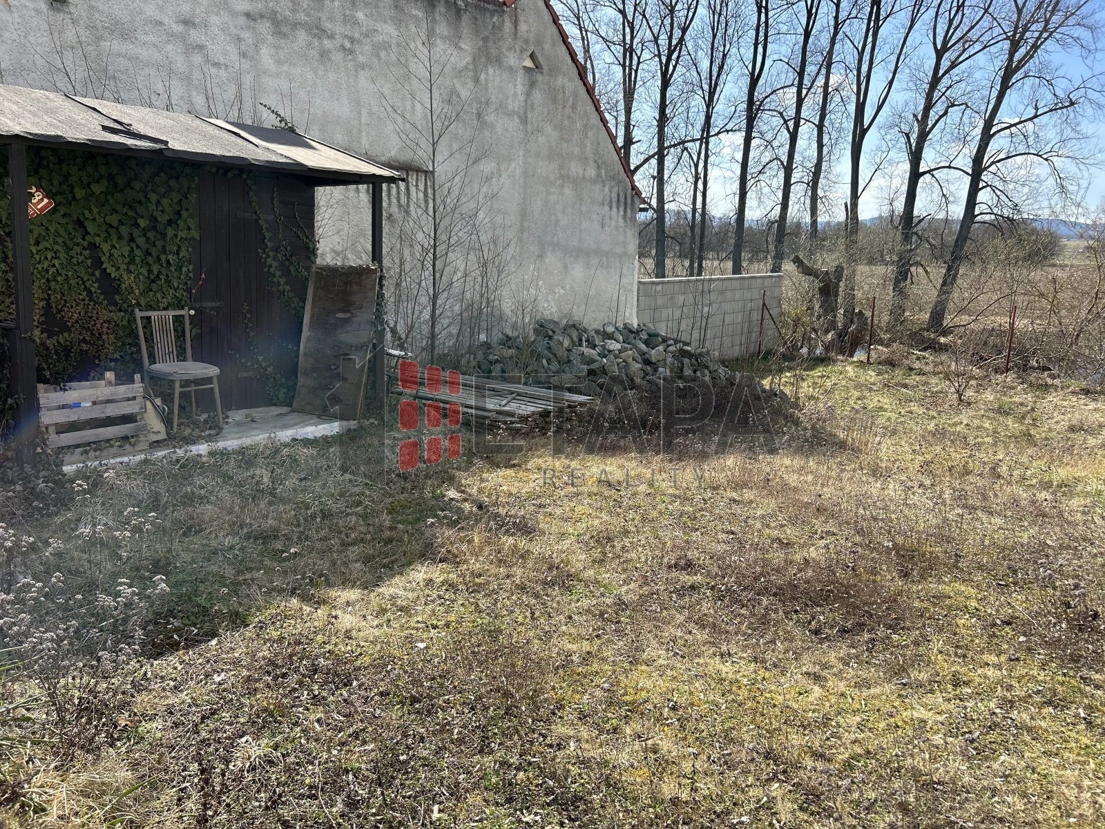 IMG-4566.jpg