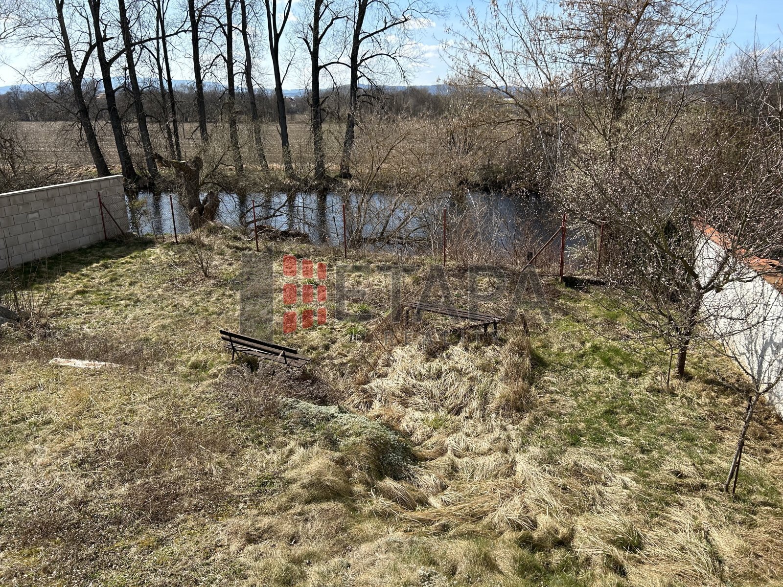 IMG-4565.jpg