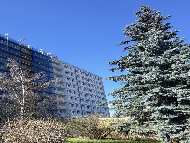 Obrázek k zakázce č.: 729711