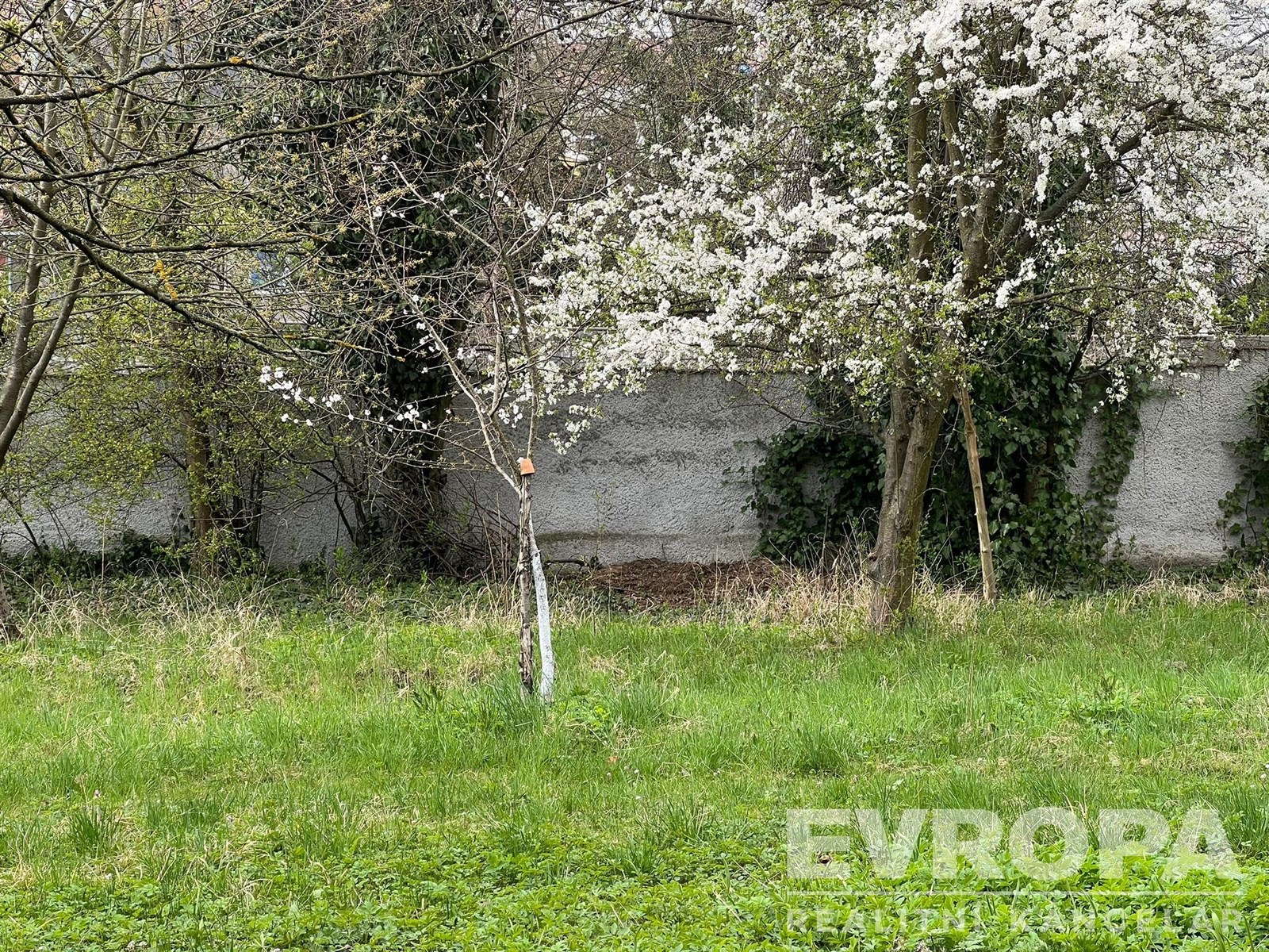 Zahrada se vzrostlými stromy, květinami a trávníke