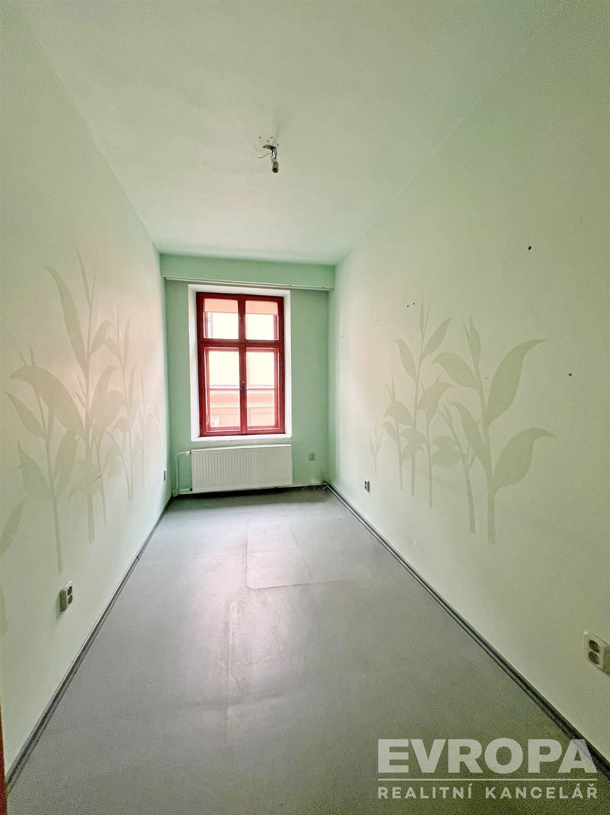 Úzká místnost s velkým oknem, moderní povrch podlahy, dekorativní stěny s motivem rostlin.