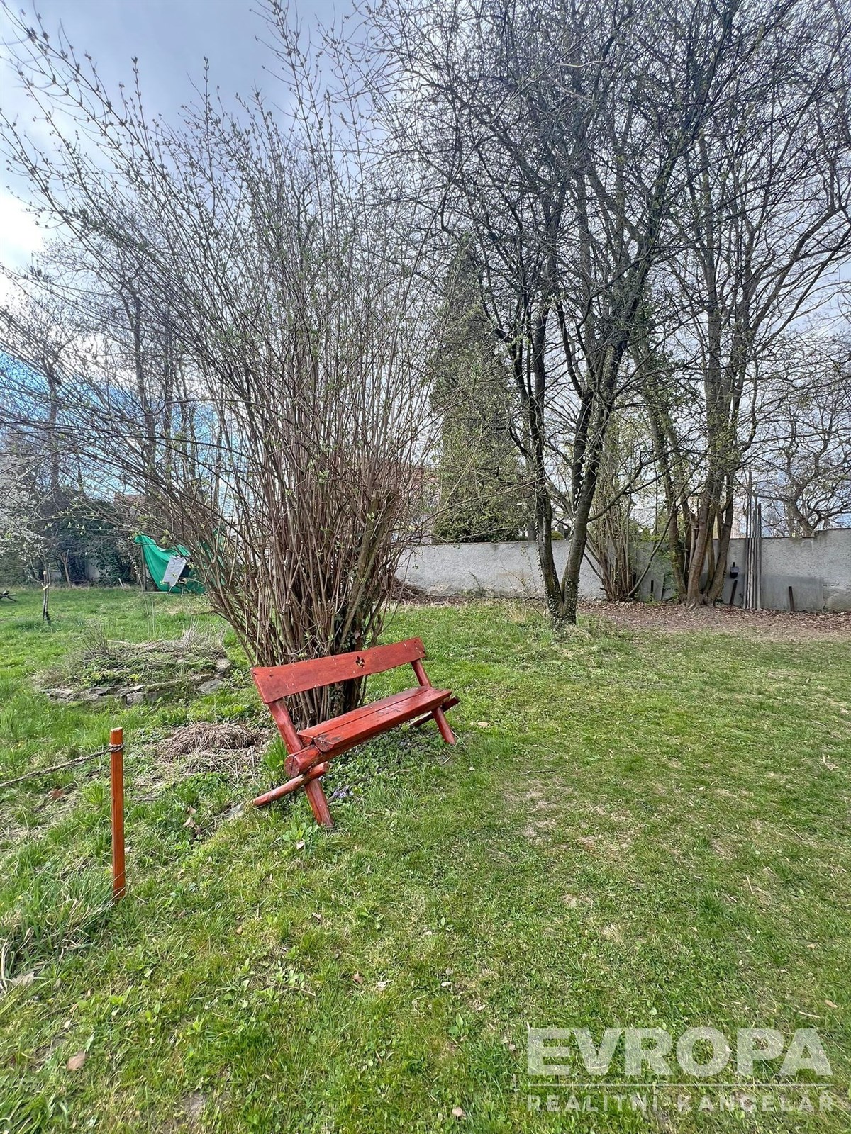 Zahrada s travnatým povrchem, vzrostlými stromy a 