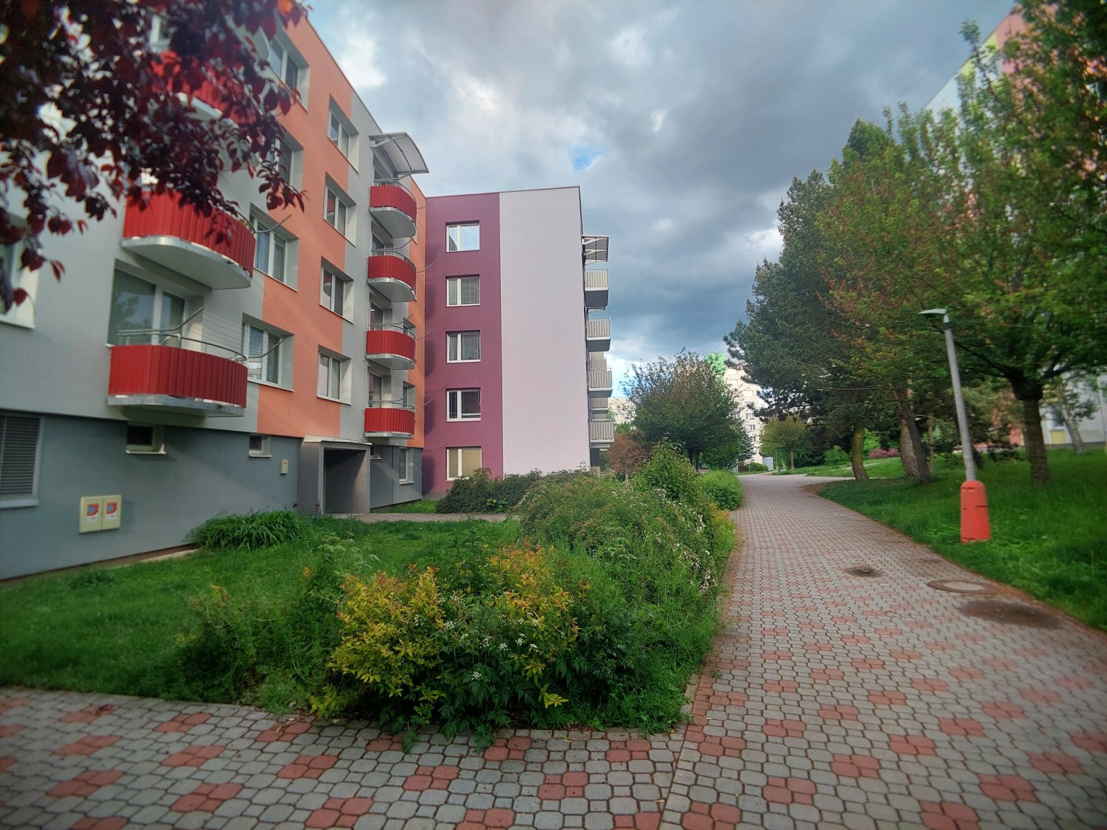 20250529_184234[1].jpg