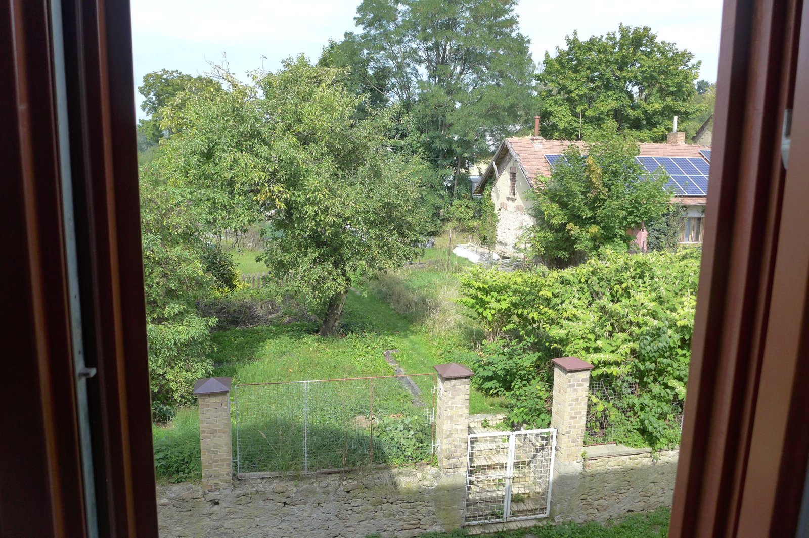 P1090988.JPG