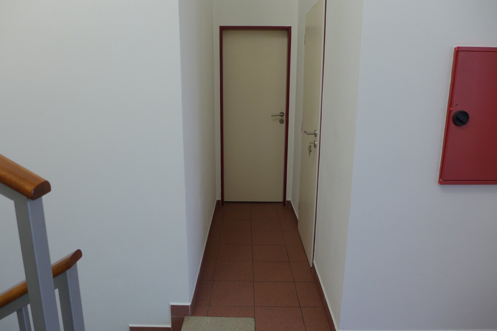 P1100754.JPG
