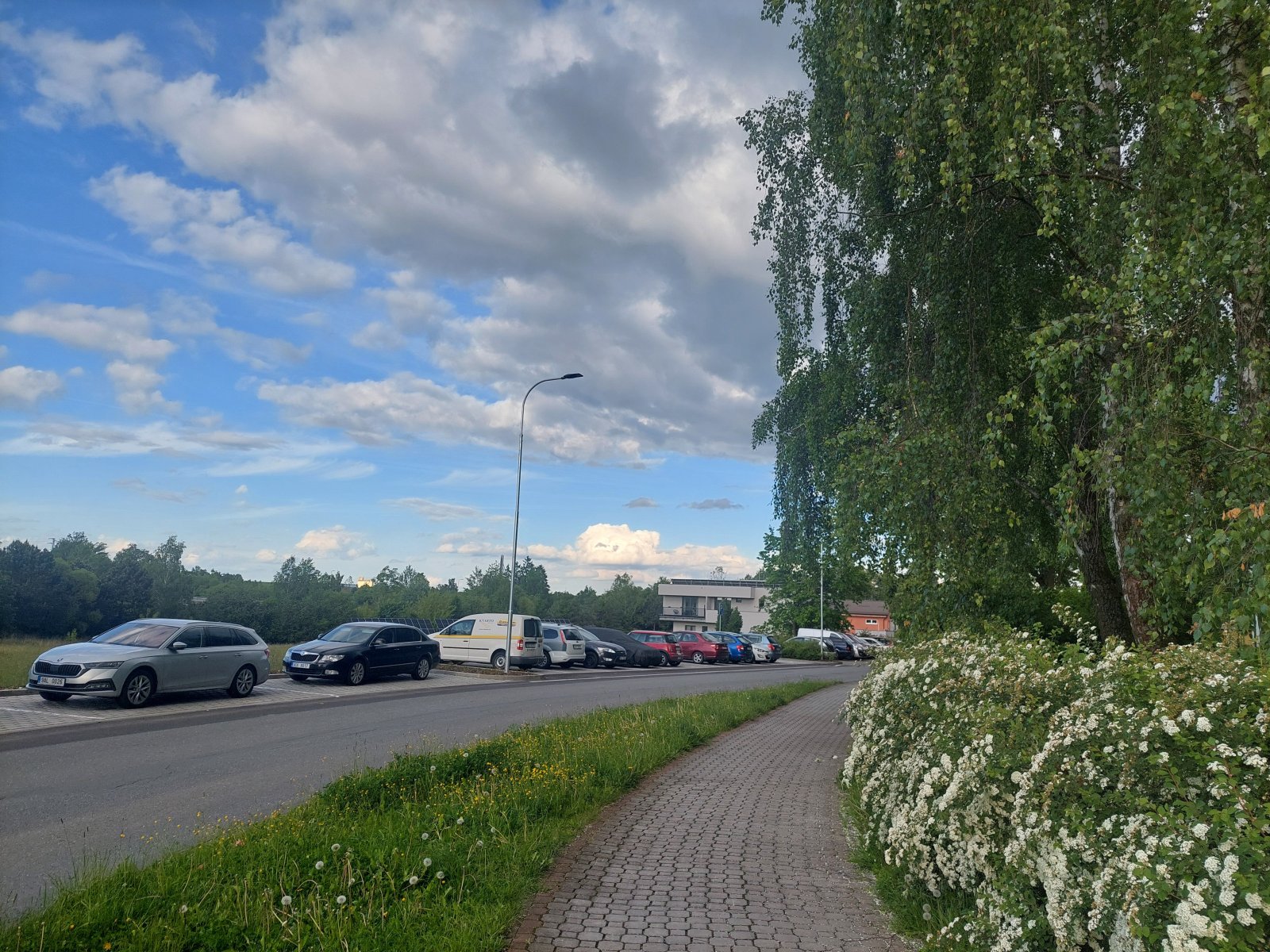 20250529_184454[1].jpg