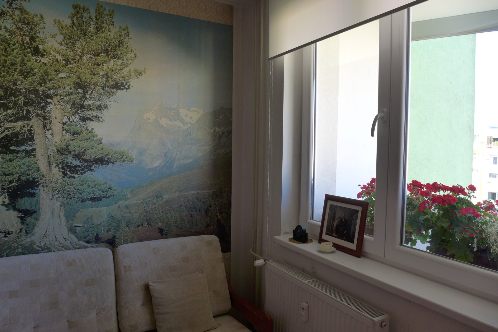 P1110266.JPG