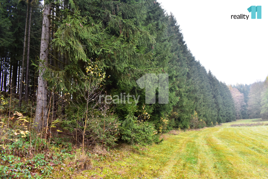 Prodej lesa, 8 014 m² Meziměstí (okres Náchod), Ruprechtice, obrázek 5