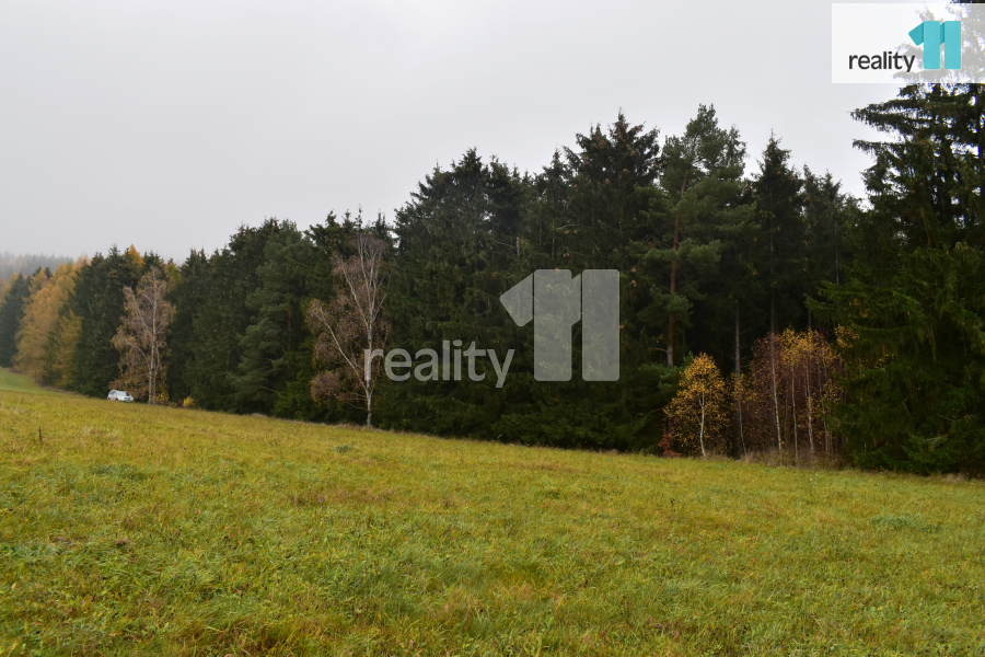 Prodej lesa, 8 014 m² Meziměstí (okres Náchod), Ruprechtice, obrázek 9
