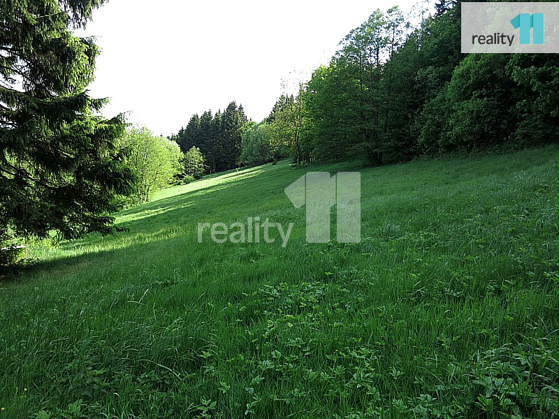 Prodej rodinného domu, 280 m² Světlá pod Ještědem (okres Liberec), obrázek 18
