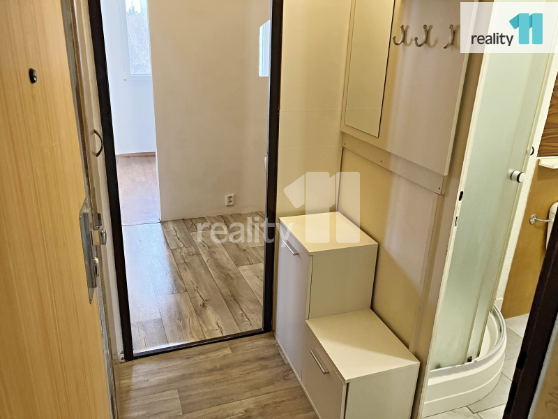 Pronájem bytu 2+kk Dobřany 9 500 Kč za měsíc, foto 9