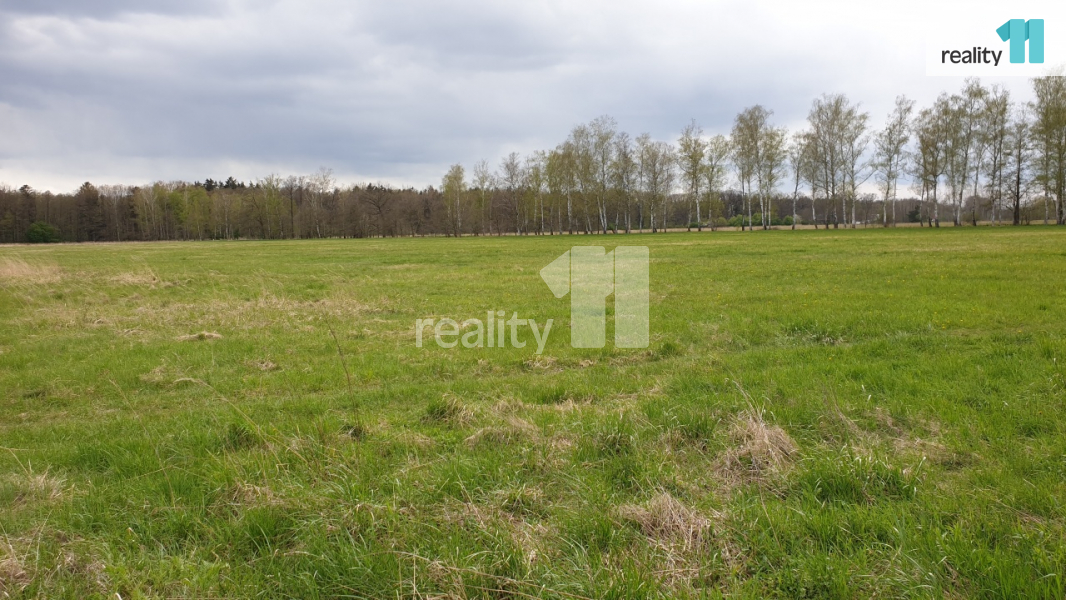 Prodej zemědělské půdy, 8 000 m² Hradec Králové, Malšova Lhota, K Břízkám, obrázek 1