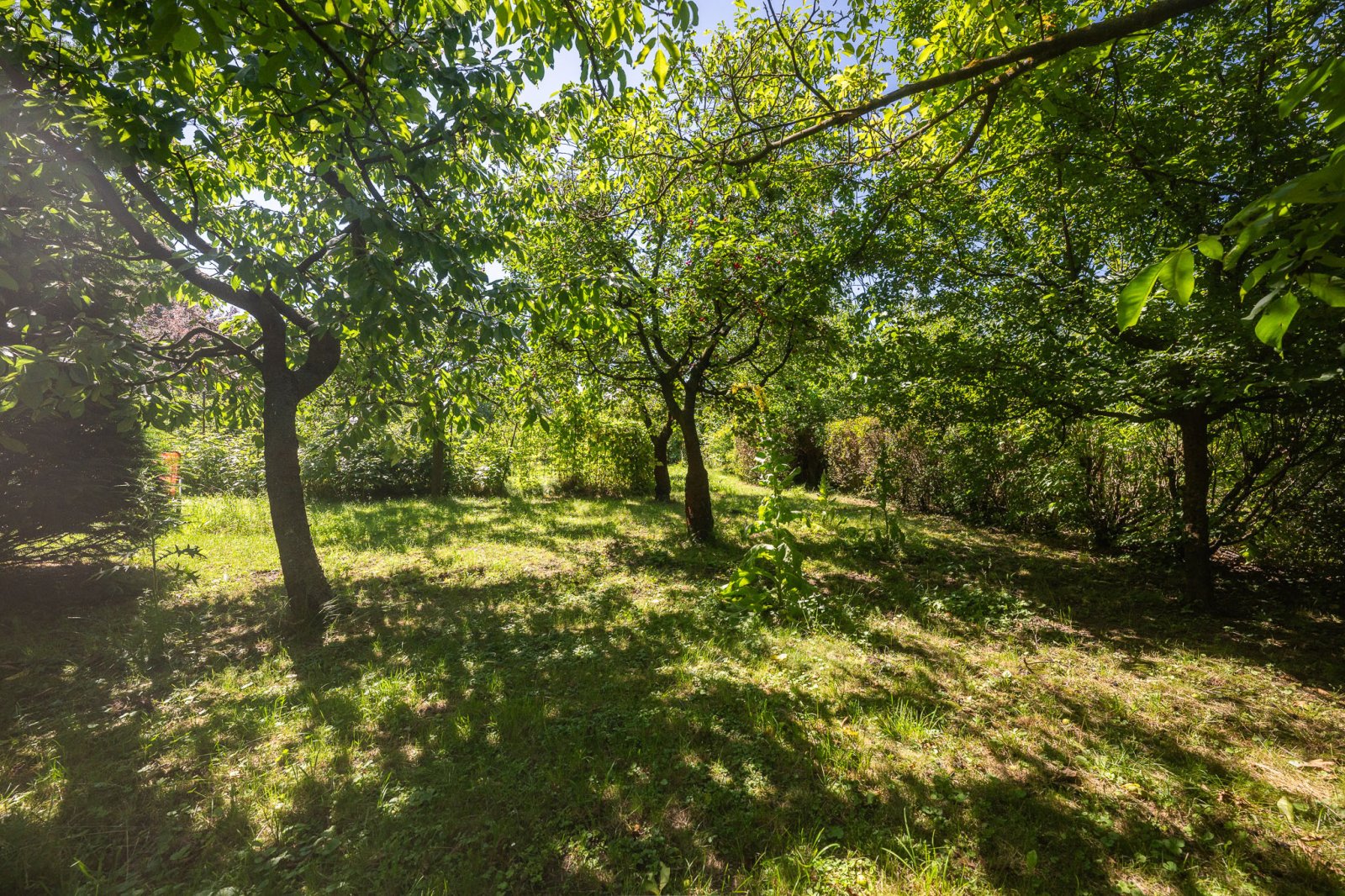 web_010_20250626_Reality_pozemek_Otrokovice.jpg