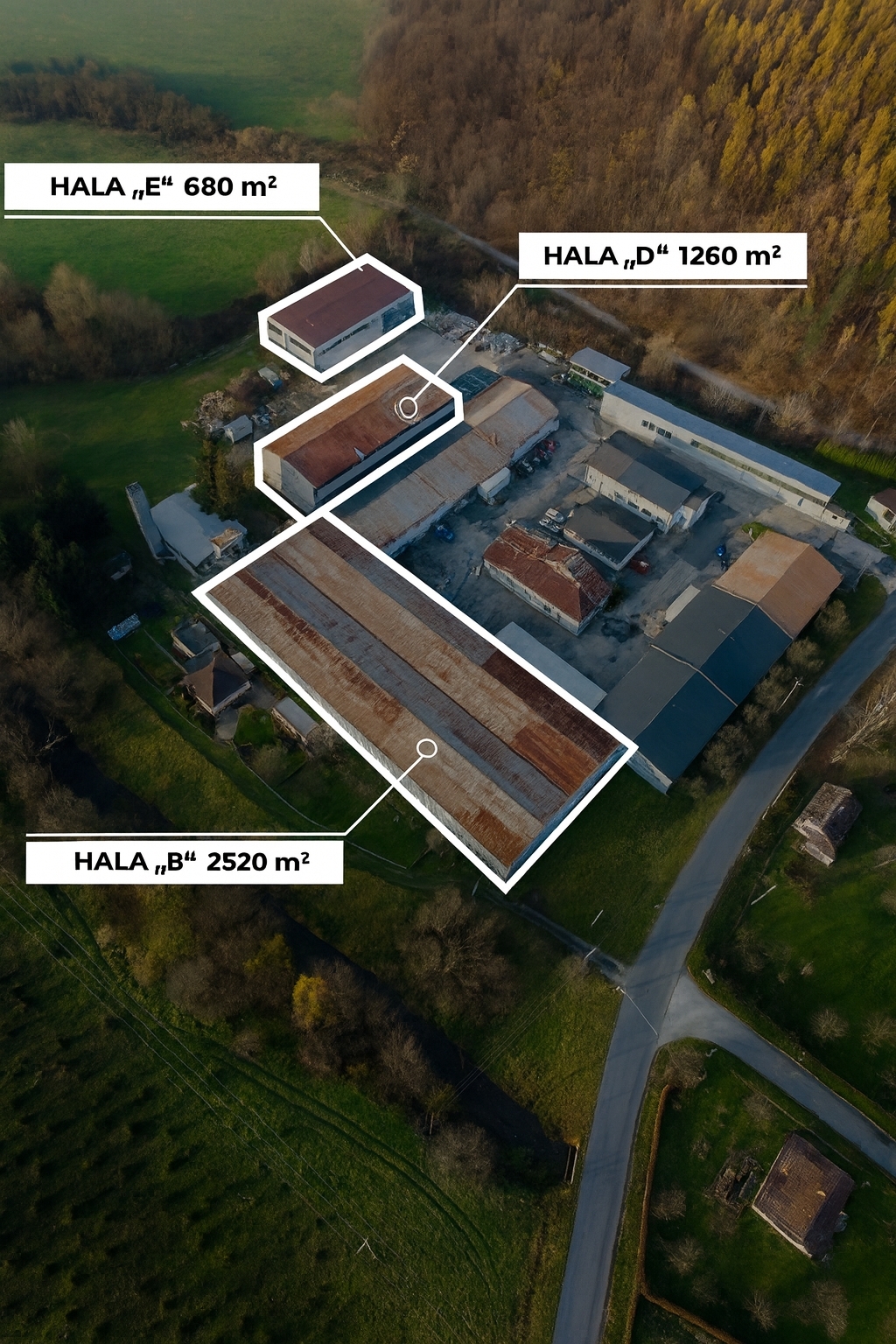 ChatGPT Image 19. 11. 2025 16_45_34.jpg