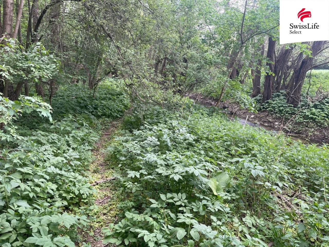 Ostatní
