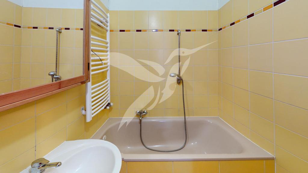 Tremosna-Bathroom.jpg
