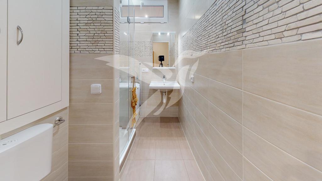 Byt-21-Plzen-Ticha-ulice-Bathroom.jpg