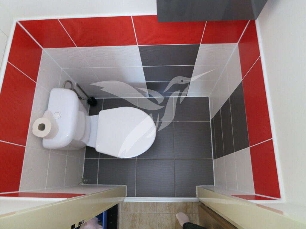7.JPG