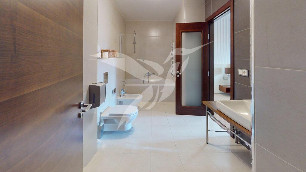 Byt-3Kk-U-Borskeho-parku-27-Plzen-Bathroom.jpg