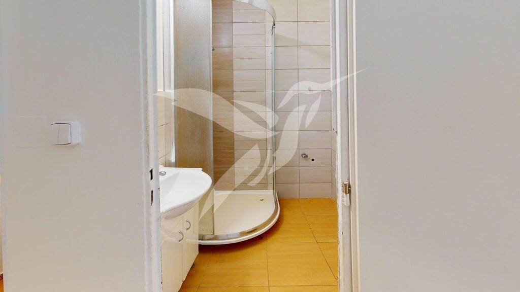 Byt-31-Kaznejovska-41-Plzen-Bathroom.jpg