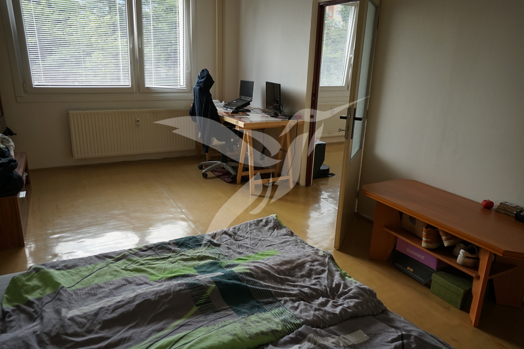 DSC08097.JPG