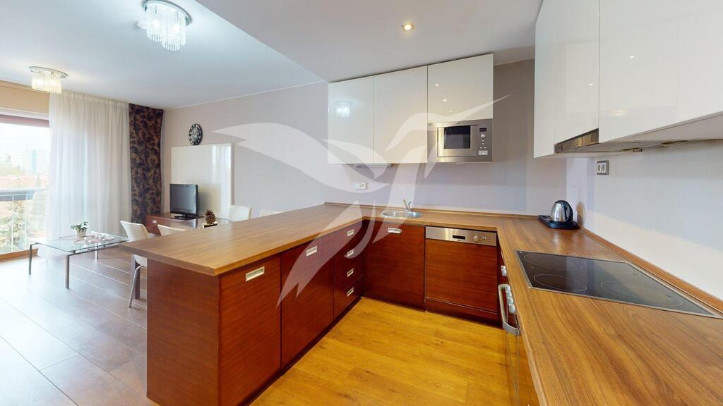 Byt-3Kk-U-Borskeho-parku-27-Plzen-Kitchen.jpg