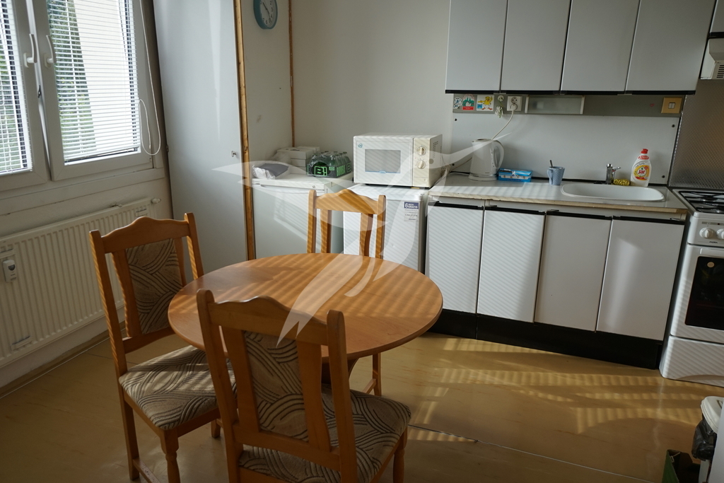 DSC08090.JPG