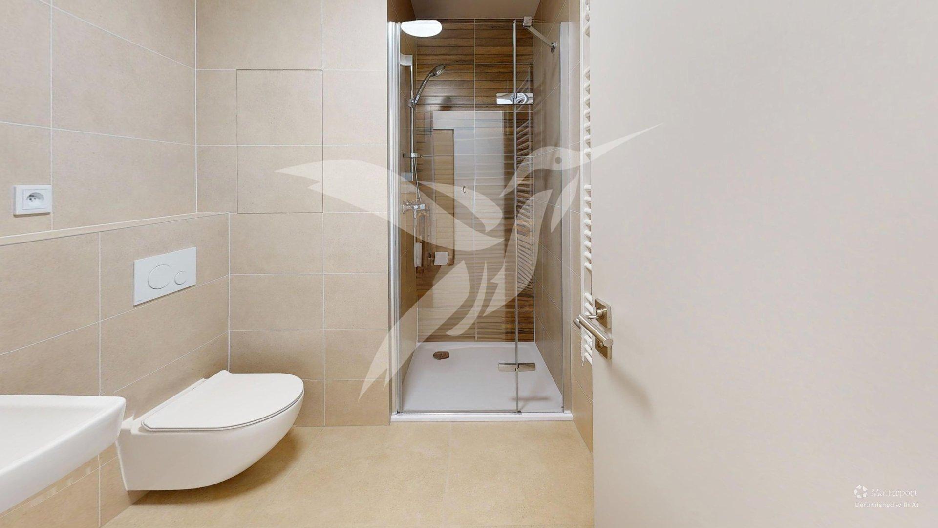 Byt-1kk-Zelezna-306814-Plzen-Bathroom-Defurnished.