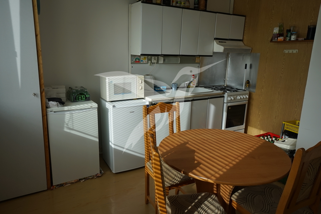 DSC08091.JPG