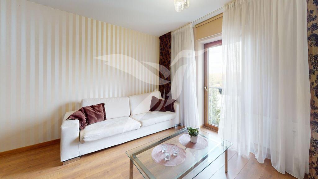 Byt-3Kk-U-Borskeho-parku-27-Plzen-Living-Room_1.jp