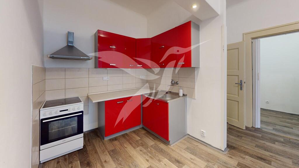 Byt-11-Cechova-178711-Plzen-Kitchen.jpg