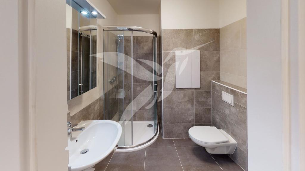Byt-c-3-2kk-Plzen-Vrchlickeho-ulice-Bathroom.jpg