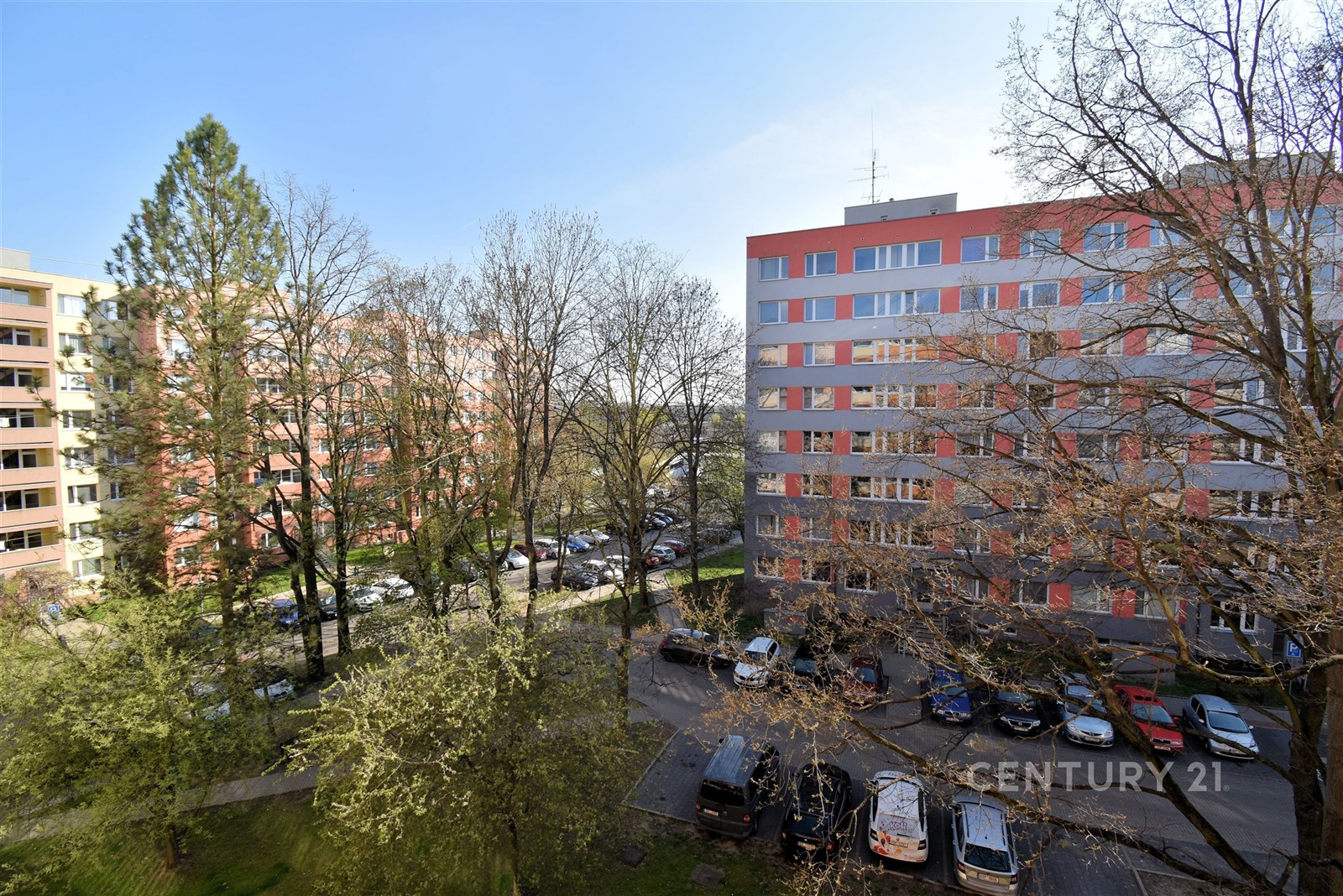 Výhled z bytu na sídlišti s panelovými domy, strom