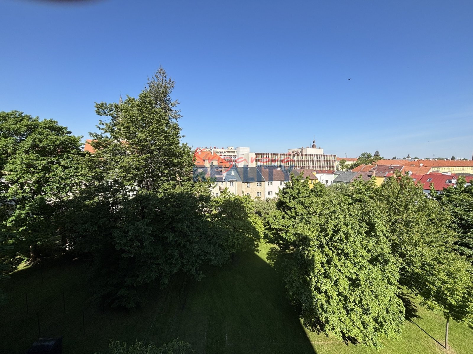 výhled