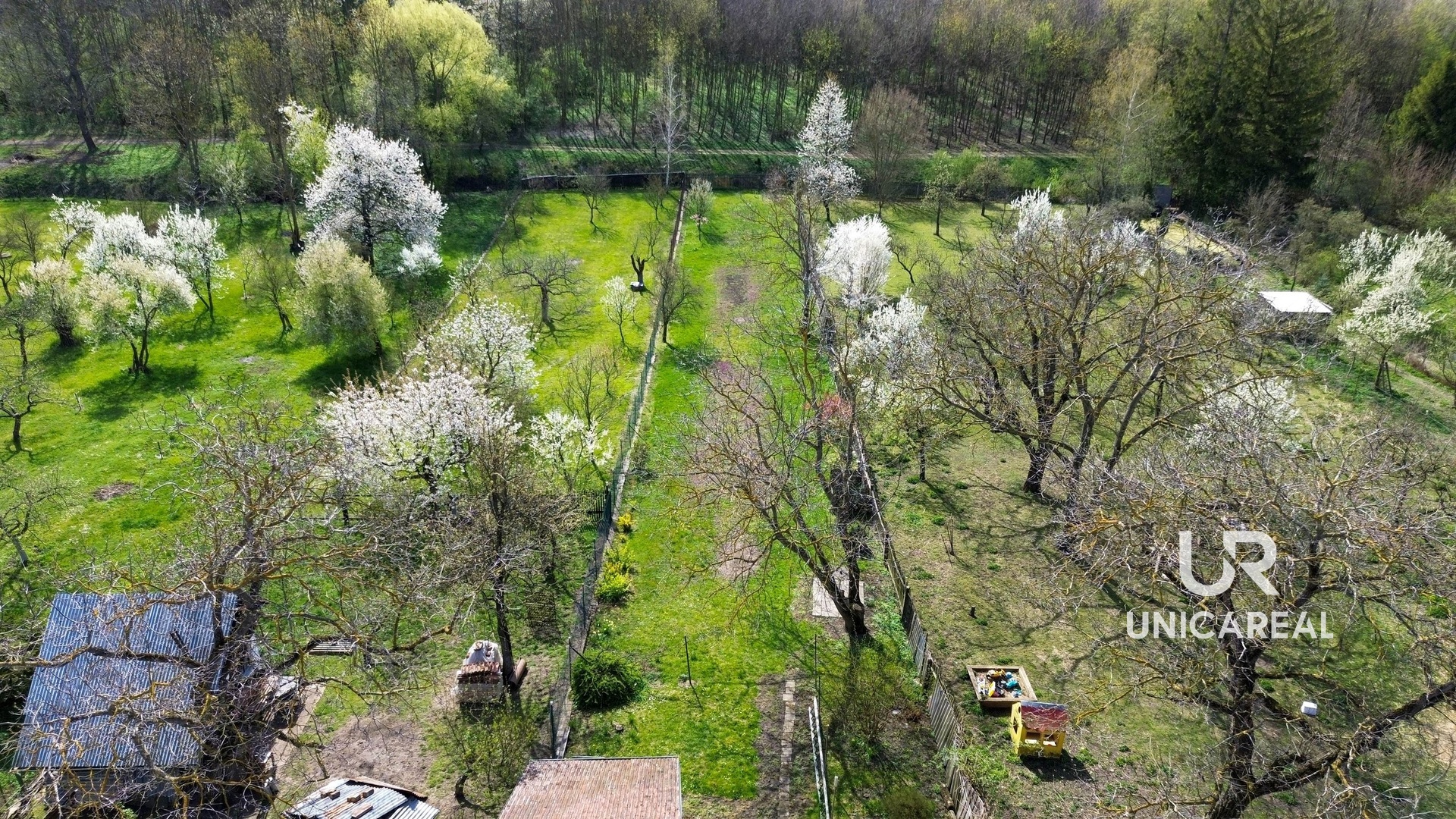 Pohled na zahradu