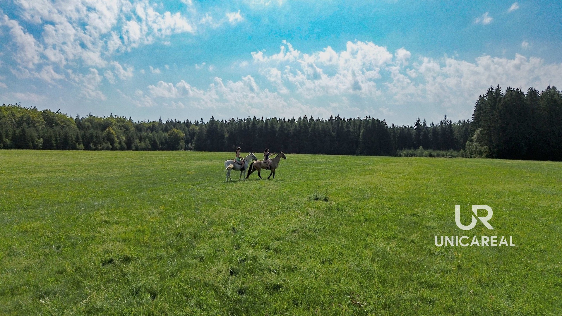Krajina v okolí (2)