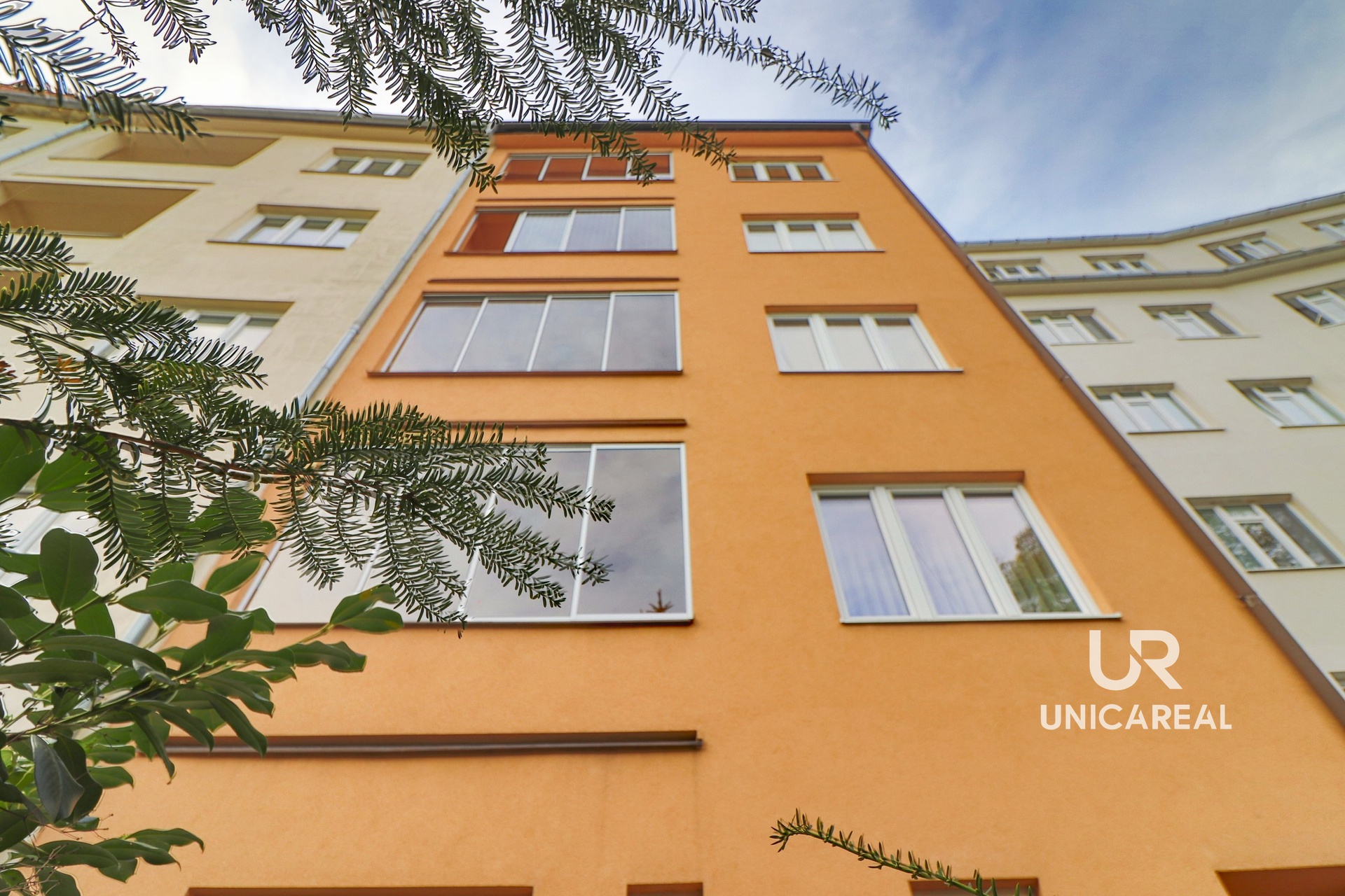 Pronájem bytu 1+kk Tábor, Brno-Žabovřesky, dům