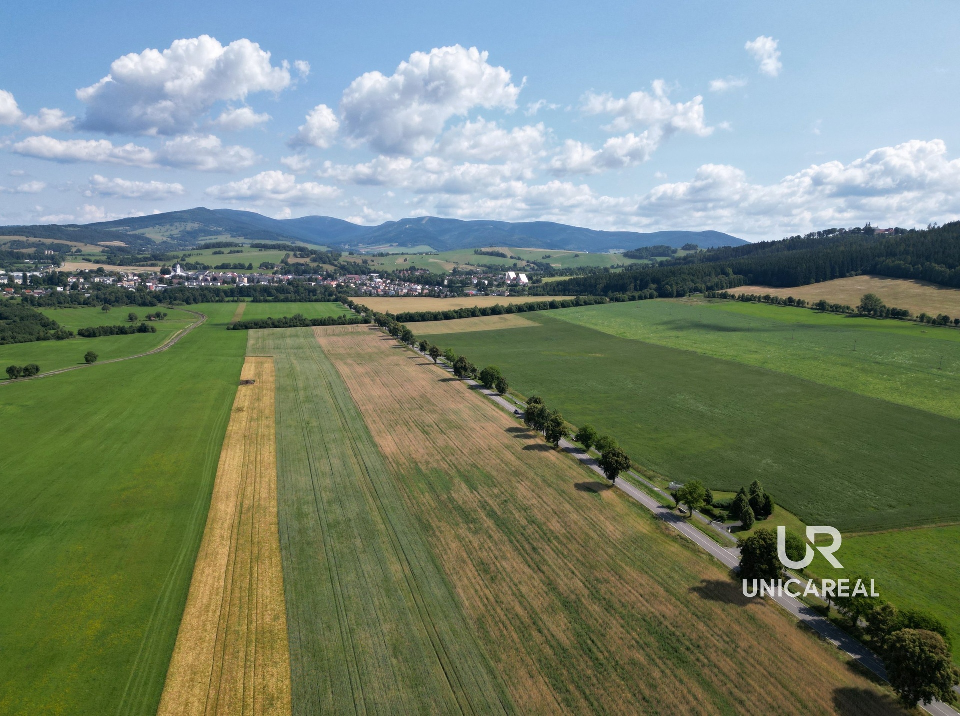 DJI_0157